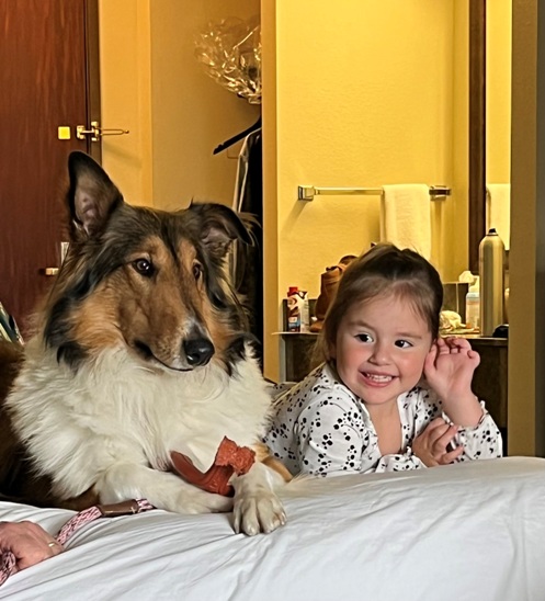image Scottish Collie and child